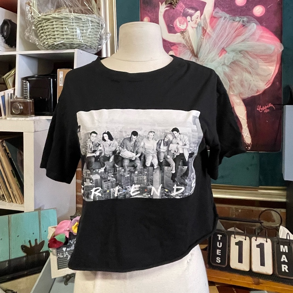David Lerner Friends TV Show Gray T Shirt Size sm
